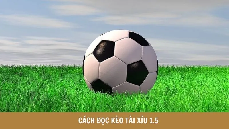 Cách đọc kèo tài xỉu 1.5 là gì? 